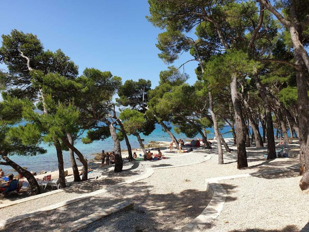Mobile Home Starfish IV Camp Biograd Biograd Na Moru Extérieur photo